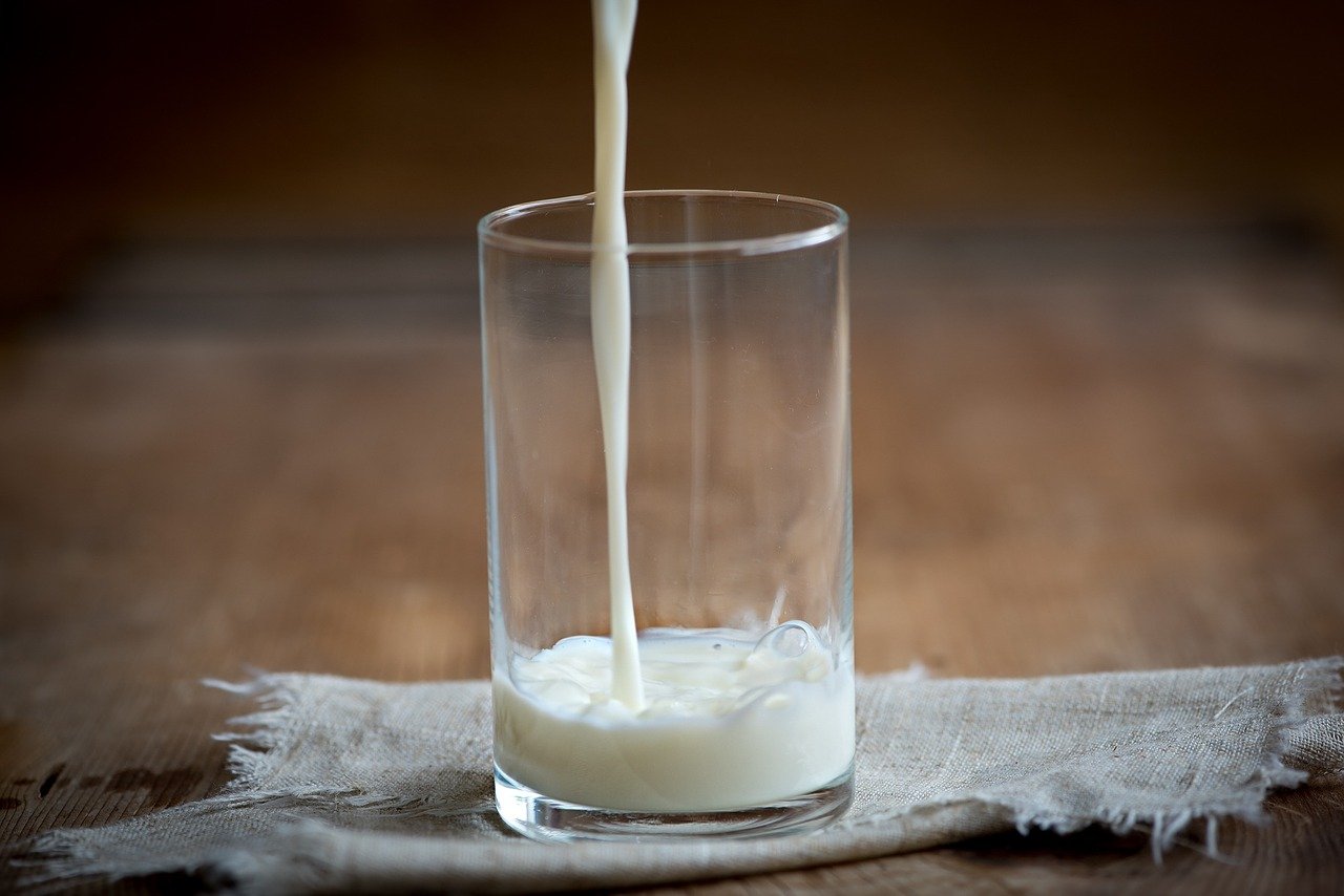 4 Manfaat Minum Susu Hangat Dari Jahe Untuk Kesehatan Tubuh