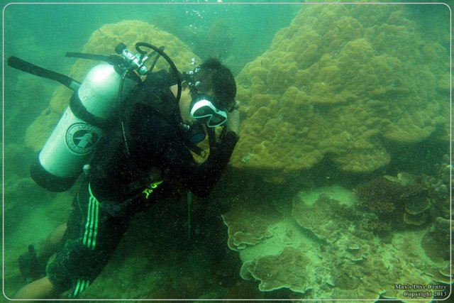 One Day Trip Diving Pulau Abang dan Pulau Petong